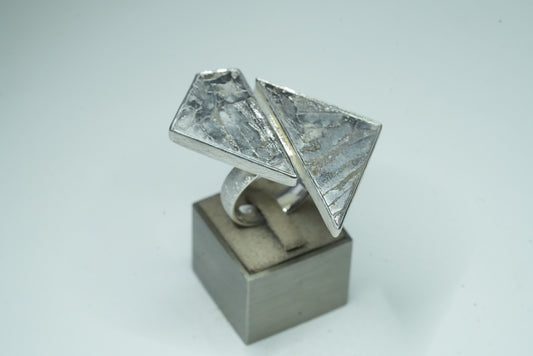 Meteorite Ring